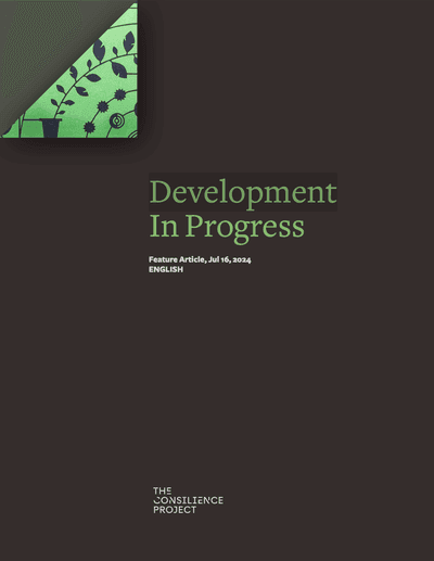 Cover of Development In Progress